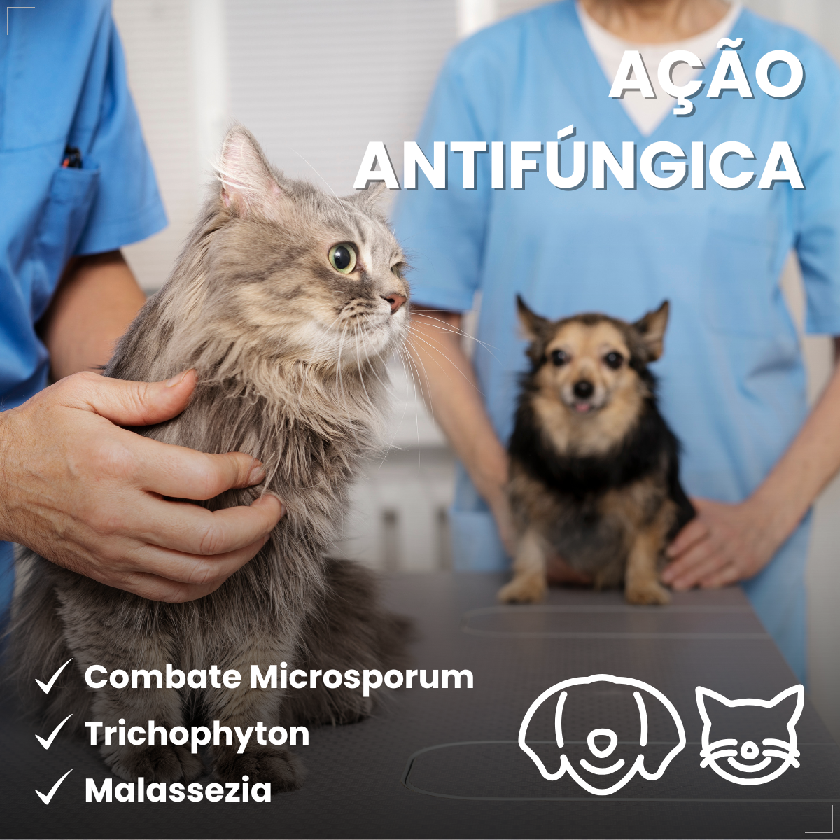 Creme Dermatológico Dermotrat Cães e Gatos Pomada 20g