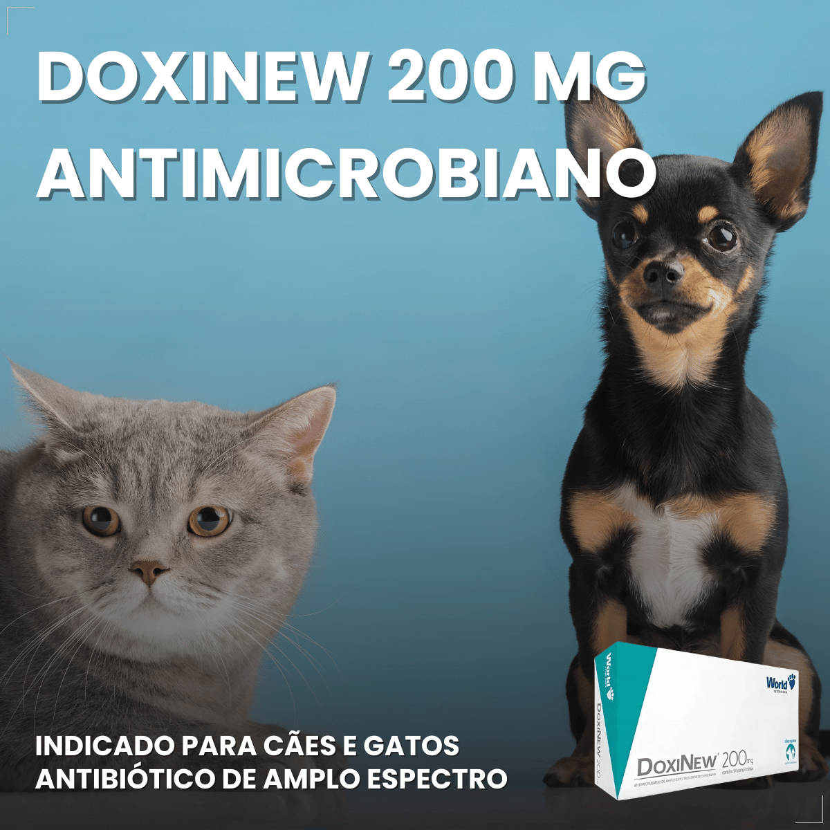 Antimicrobiano DoxiNew 200 mg para Cães e Gatos World