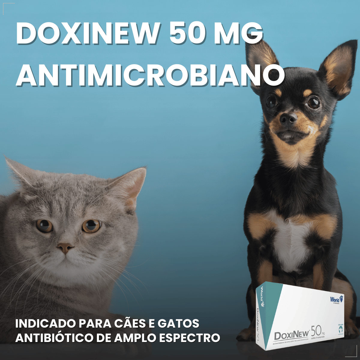 Antimicrobiano DoxiNew 50 mg para Cães e Gatos World