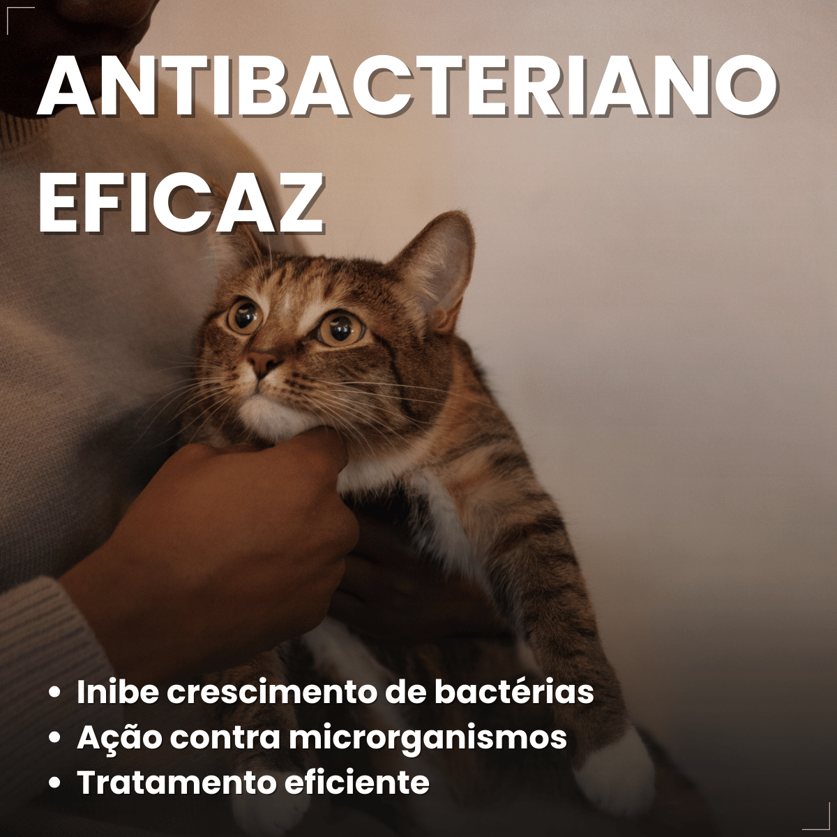 Antimicrobiano DoxiNew 200 mg para Cães e Gatos World