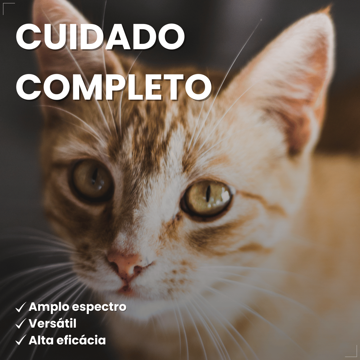 Antimicrobiano DoxiNew 200 mg para Cães e Gatos World