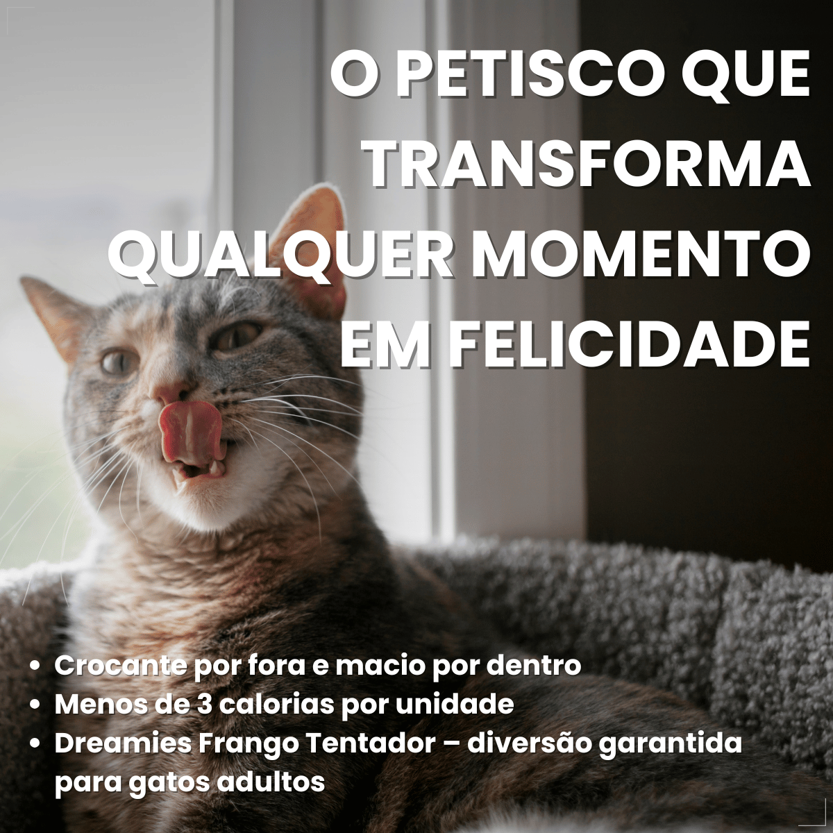 Kit 5 Petisco Dreamies para Gatos Adultos 40 g