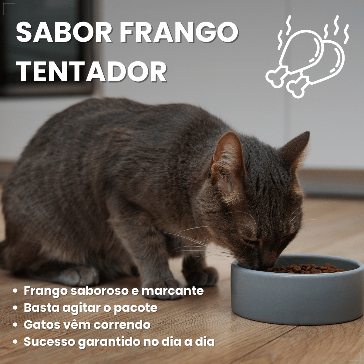 Kit 5 Petisco Dreamies para Gatos Adultos 40 g