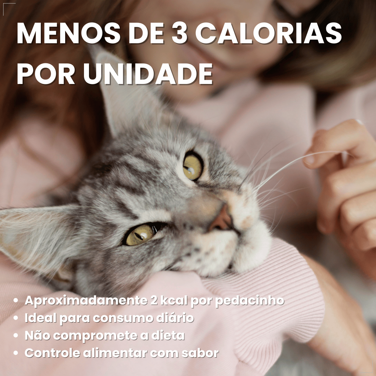 Kit 5 Petisco Dreamies para Gatos Adultos 40 g