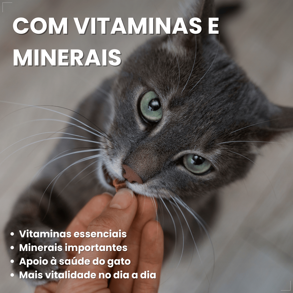 Kit 5 Petisco Dreamies para Gatos Adultos 40 g