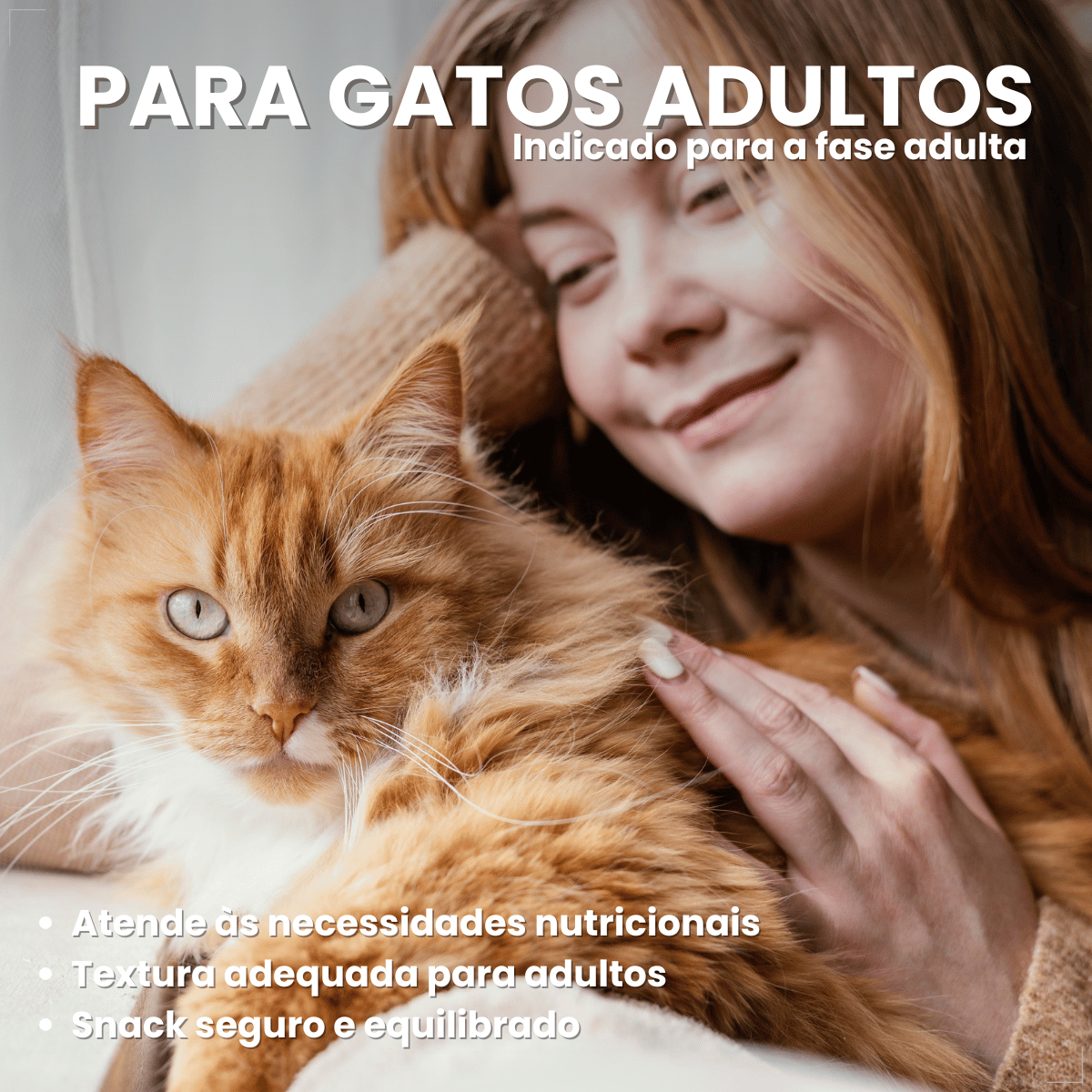Kit 5 Petisco Dreamies para Gatos Adultos 40 g