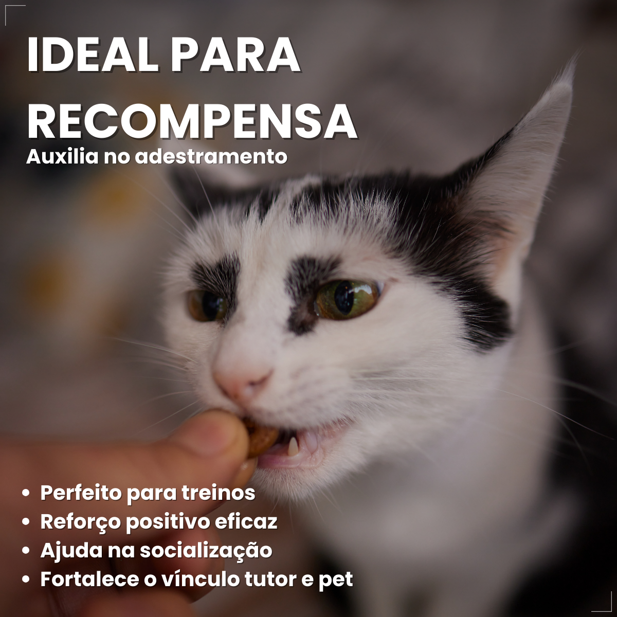 Petisco Dreamies para Gatos Adultos 40 g