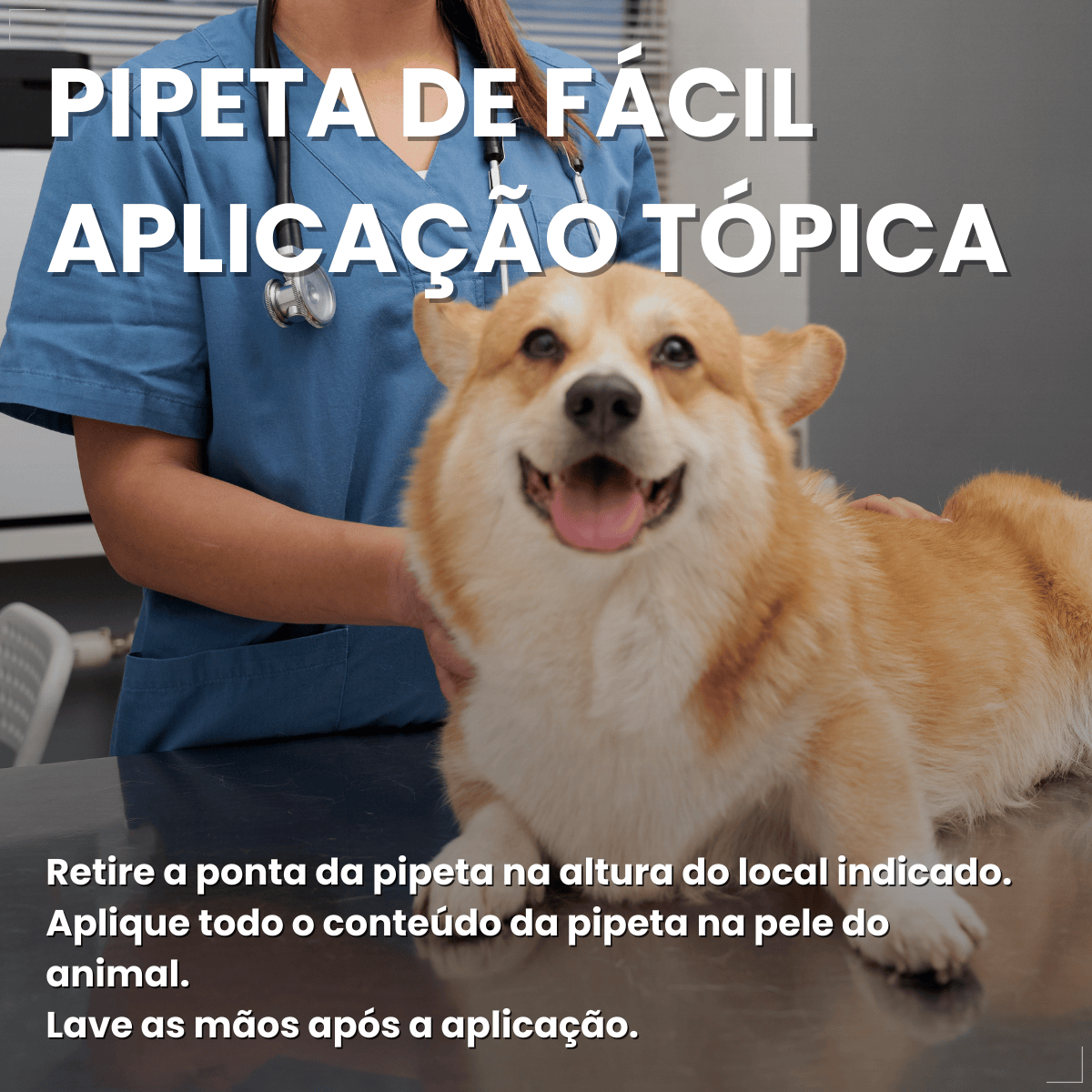 Defend Pro Cães 10  20kg 1 Pipeta Biovet Pulgas e Carrapatos