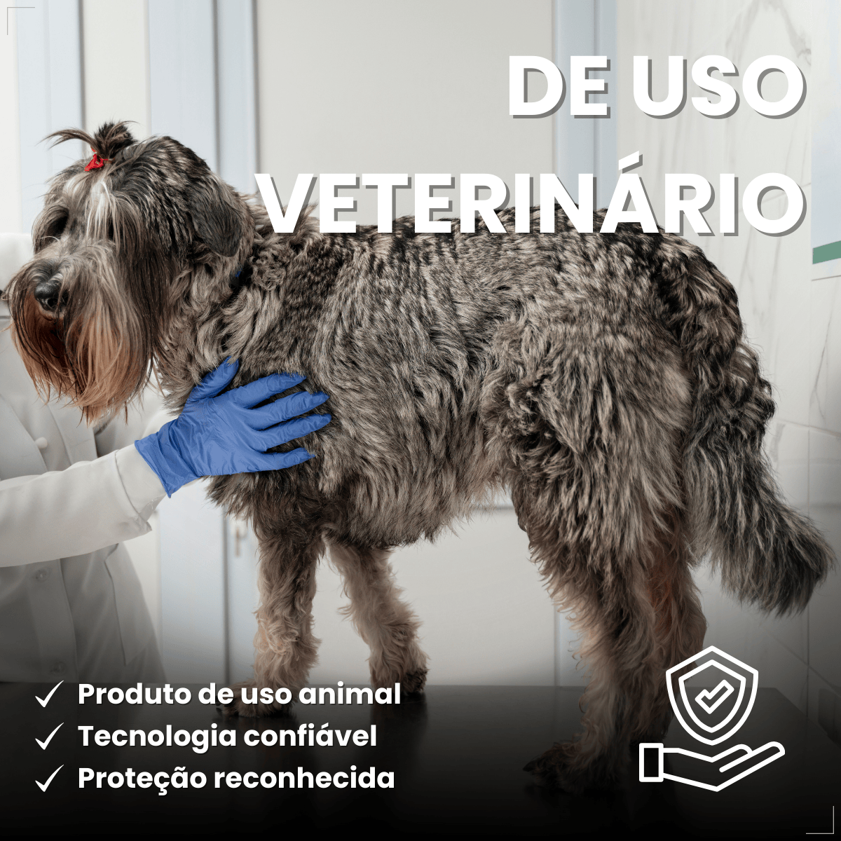 Defend Pro Cães 10  20kg 1 Pipeta Biovet Pulgas e Carrapatos