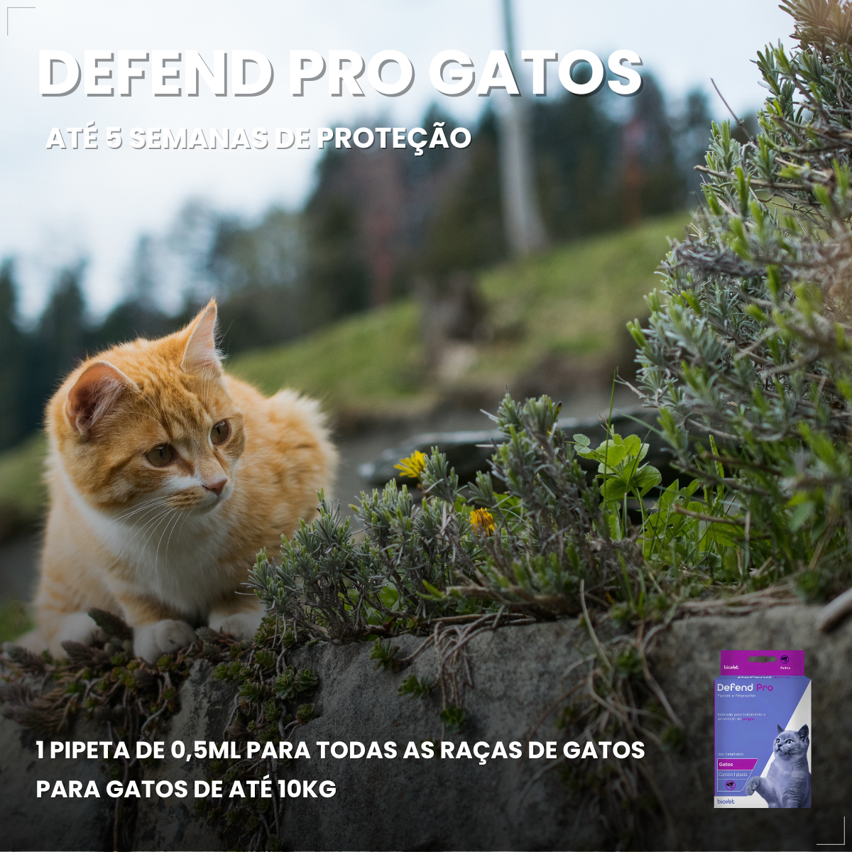 Defend Pro Para Gatos Tratamento de Pulgas Pipeta
