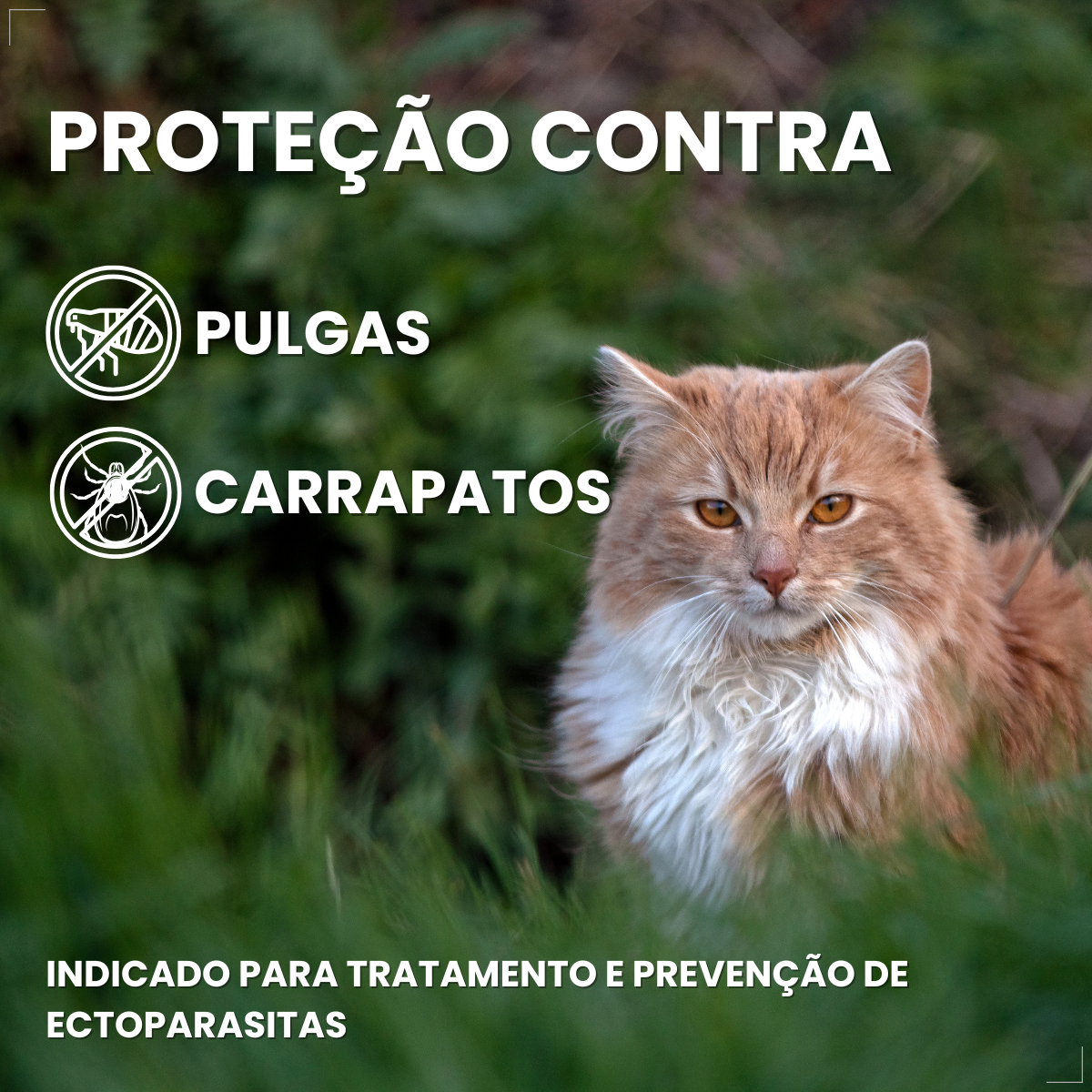 Defend Pro Para Gatos Tratamento de Pulgas Pipeta