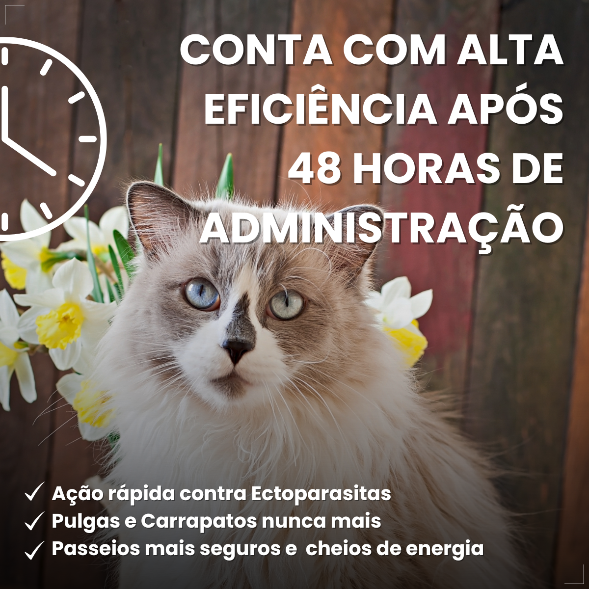 Defend Pro Para Gatos Tratamento de Pulgas Pipeta