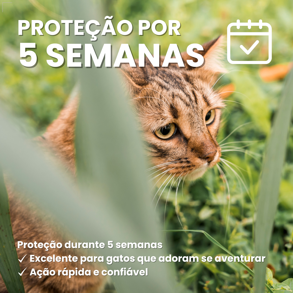 Defend Pro Para Gatos Tratamento de Pulgas Pipeta