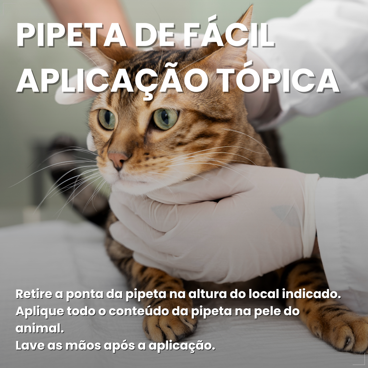 Defend Pro Para Gatos Tratamento de Pulgas Pipeta