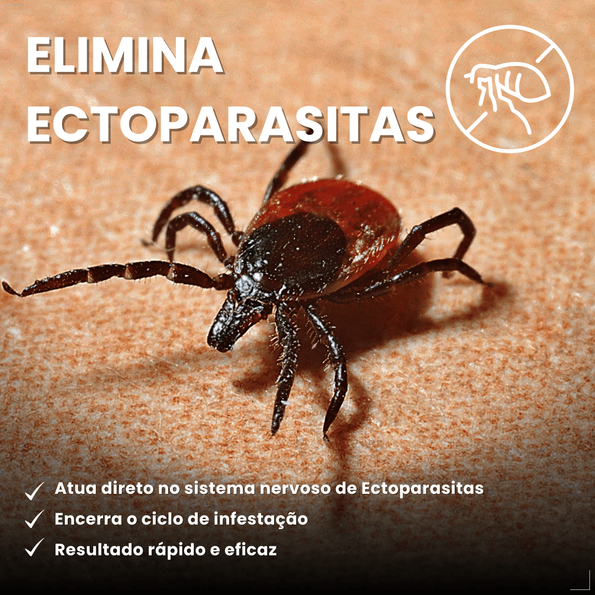 Defend Pro Para Gatos Tratamento de Pulgas Pipeta