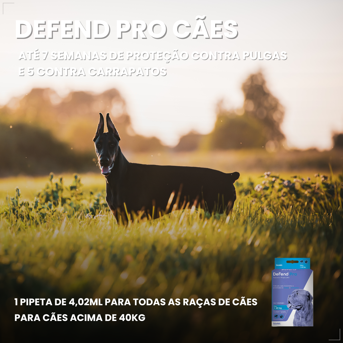 Defend Pro Cães Acima 40kg 1 Pipeta Biovet Pulga e Carrapato
