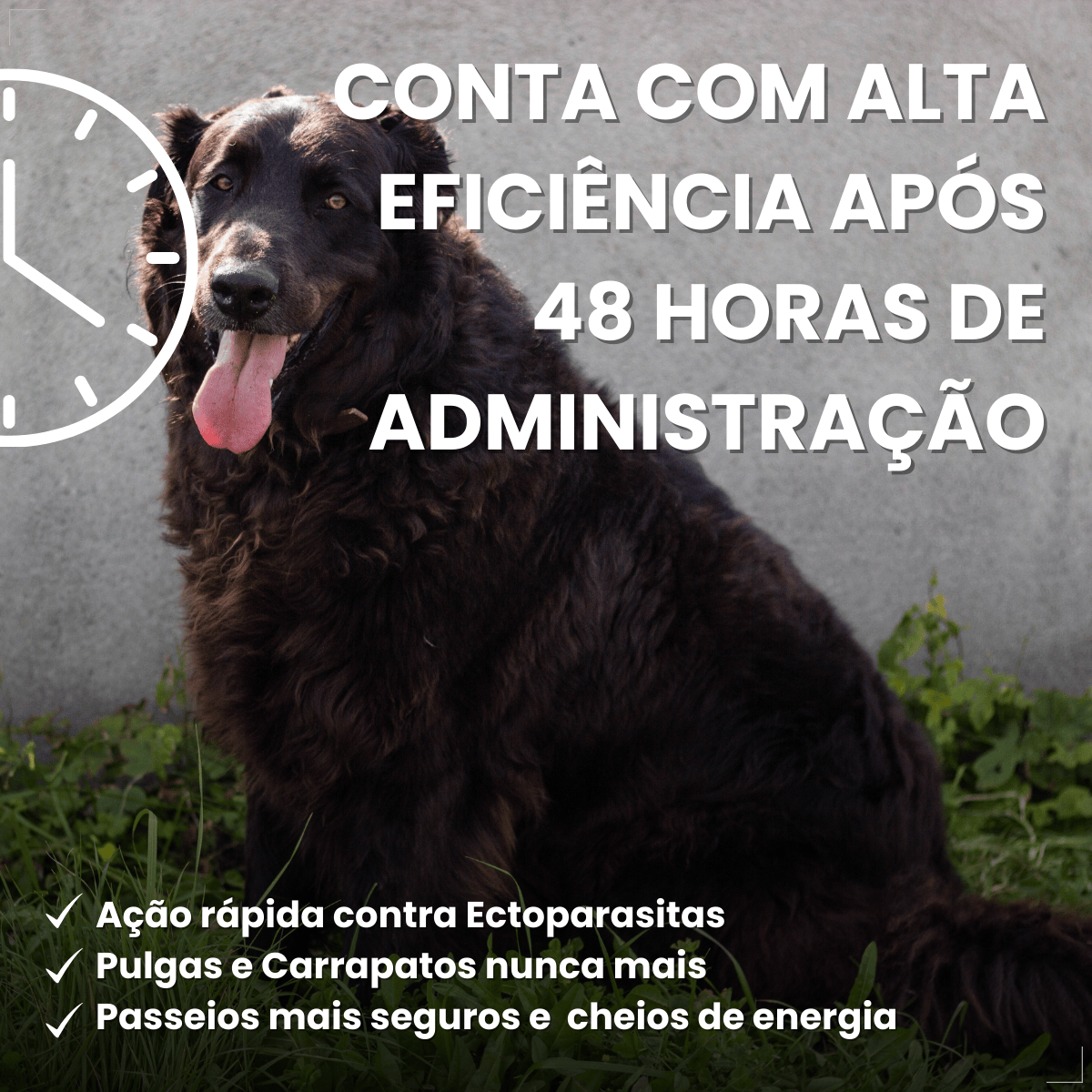 Defend Pro Cães Acima 40kg 1 Pipeta Biovet Pulga e Carrapato