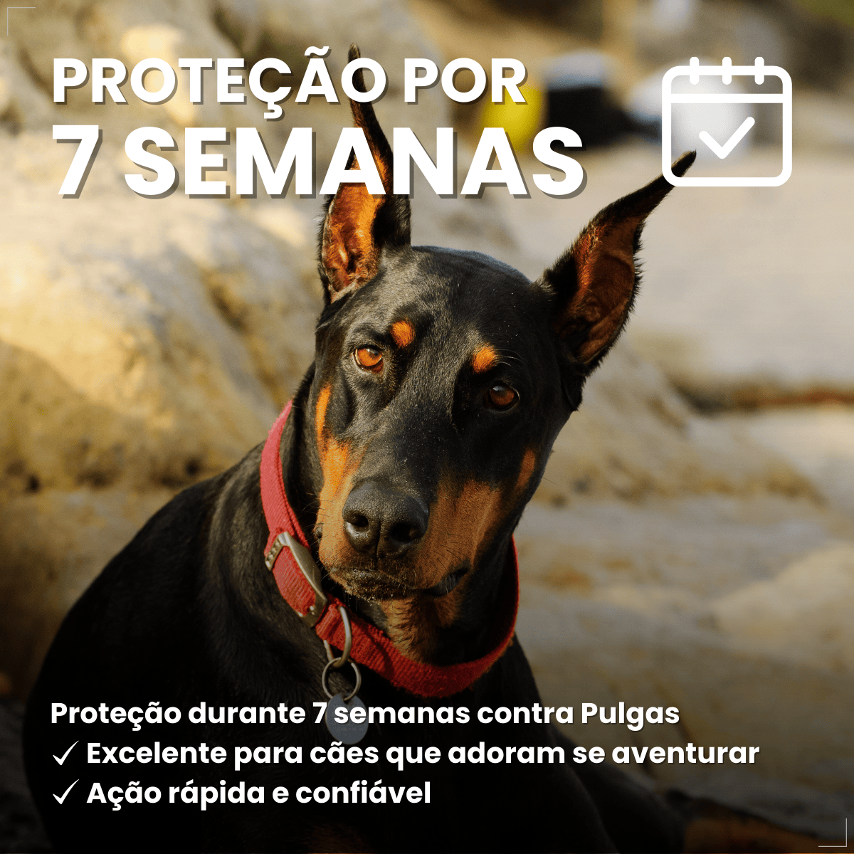 Defend Pro Cães Acima 40kg 1 Pipeta Biovet Pulga e Carrapato