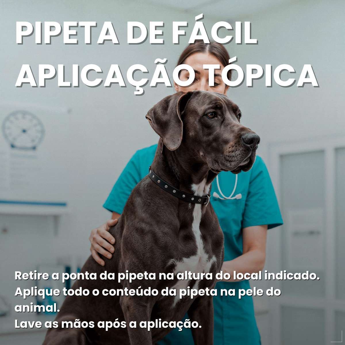 Defend Pro Cães Acima 40kg 1 Pipeta Biovet Pulga e Carrapato