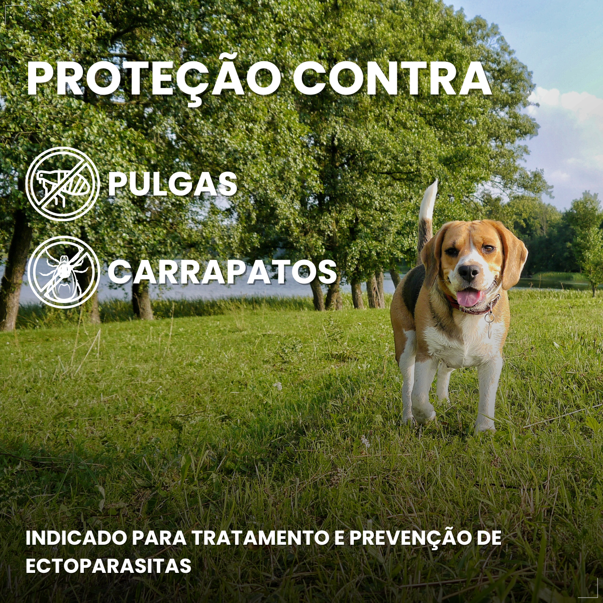 Defend Pro Cães 1 A 10kg 1 Pipeta Biovet Pulgas e Carrapatos