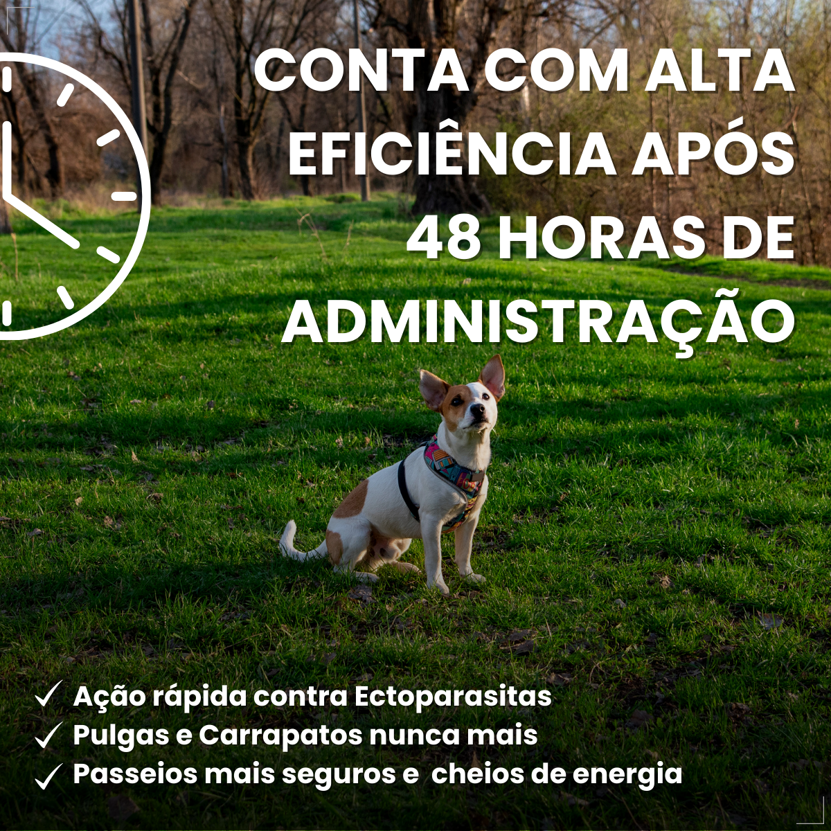 Defend Pro Cães 1 A 10kg 1 Pipeta Biovet Pulgas e Carrapatos