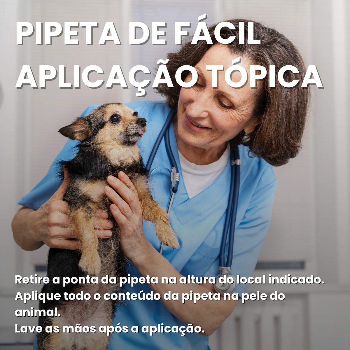 Defend Pro Cães 1 A 10kg 1 Pipeta Biovet Pulgas e Carrapatos