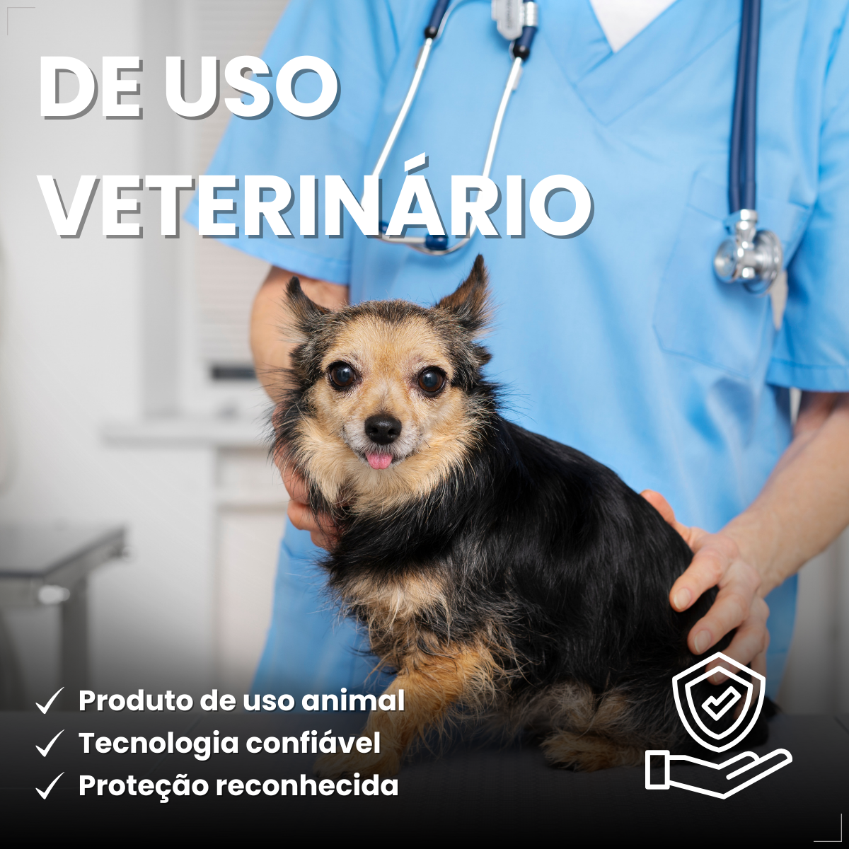 Defend Pro Cães 1 A 10kg 1 Pipeta Biovet Pulgas e Carrapatos