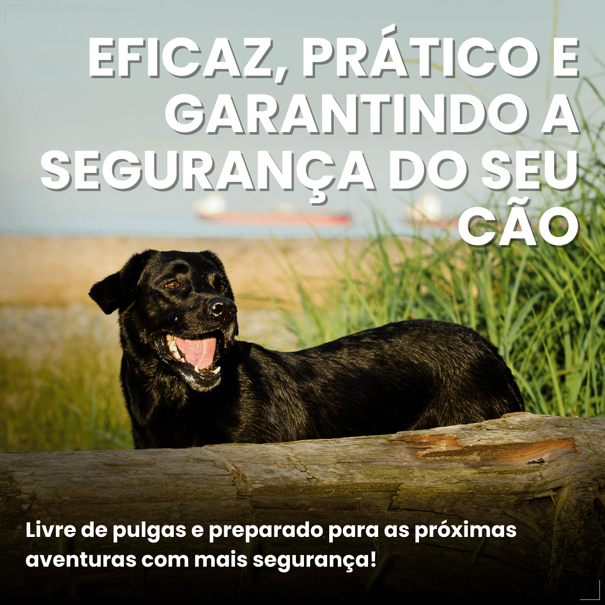 Kit 2 Defend Pro Cães 20 a 40kg 1 Pipeta Pulgas Carrapatos