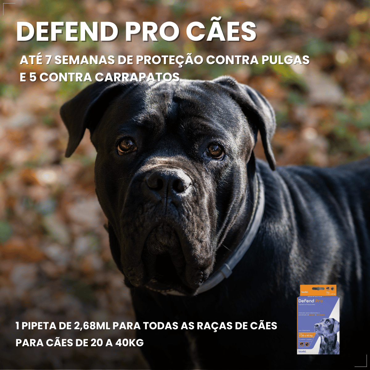 Kit 2 Defend Pro Cães 20 a 40kg 1 Pipeta Pulgas Carrapatos