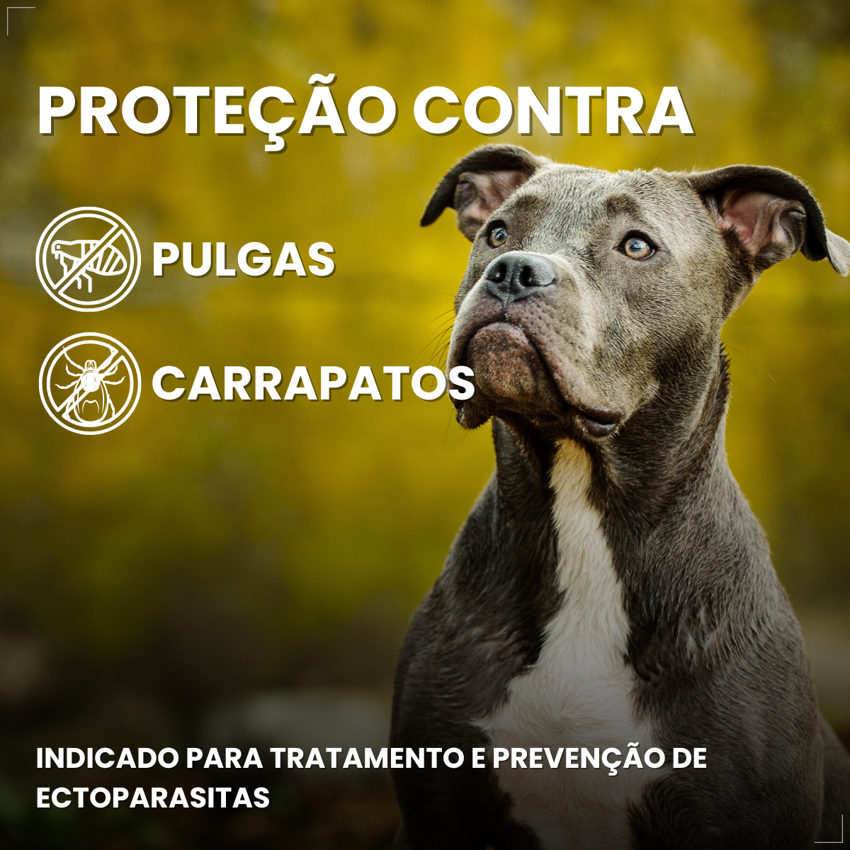 Defend Pro Cães 20 40kg 1 Pipeta Biovet Pulgas e Carrapatos