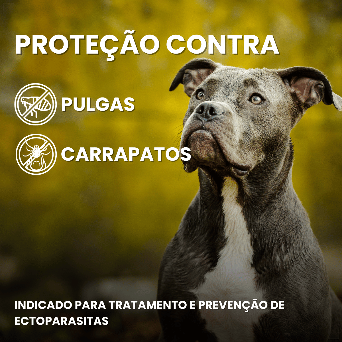 Kit 2 Defend Pro Cães 20 a 40kg 1 Pipeta Pulgas Carrapatos