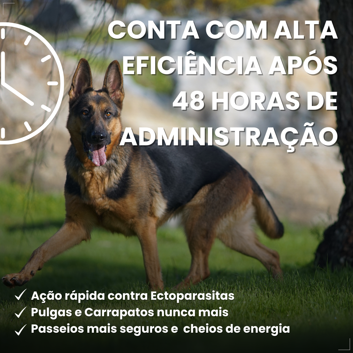 Defend Pro Cães 20 40kg 1 Pipeta Biovet Pulgas e Carrapatos