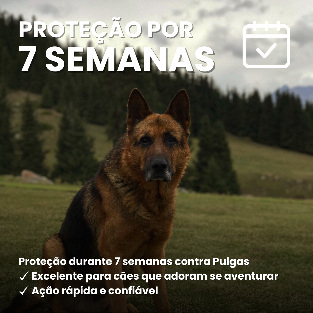 Defend Pro Cães 20 40kg 1 Pipeta Biovet Pulgas e Carrapatos