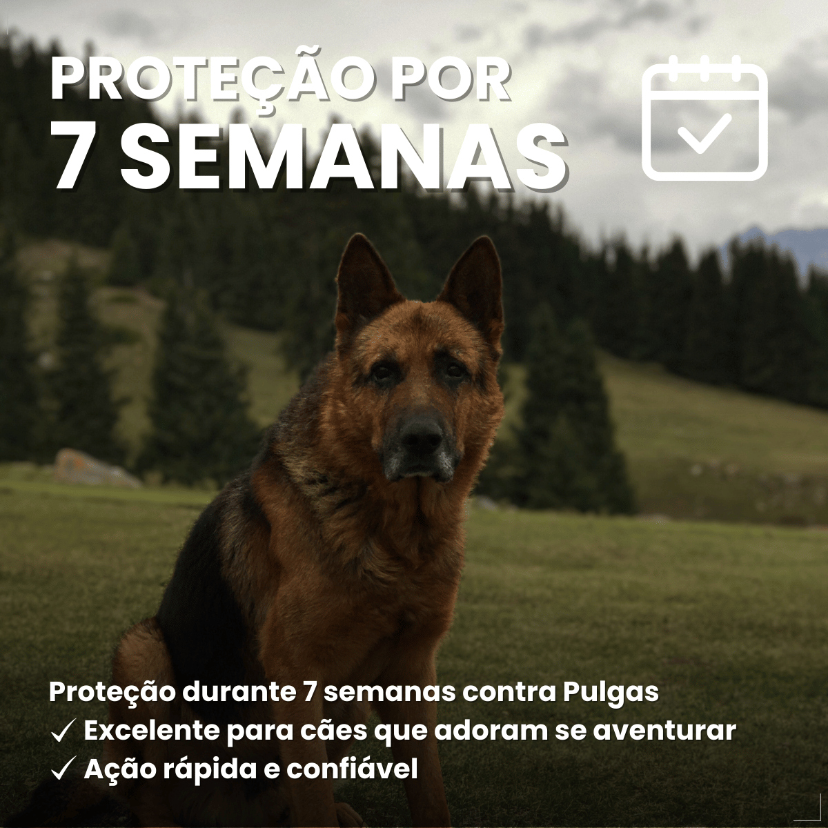 Kit 2 Defend Pro Cães 20 a 40kg 1 Pipeta Pulgas Carrapatos