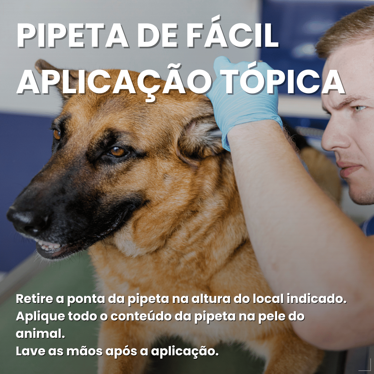 Kit 2 Defend Pro Cães 20 a 40kg 1 Pipeta Pulgas Carrapatos