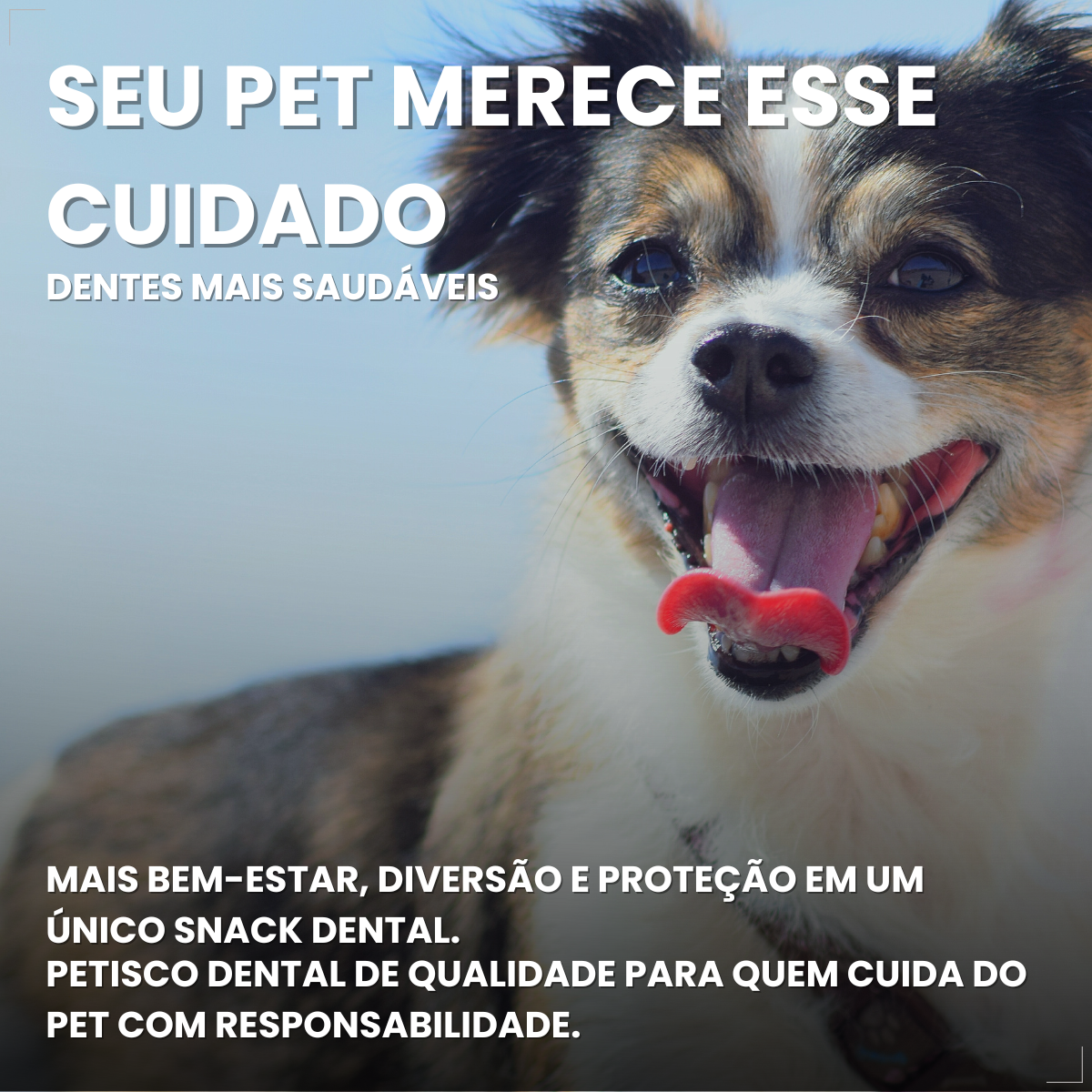 Caixa 30un Dogfy Dental Cães Pequenos Limpa Dentes Tártaro