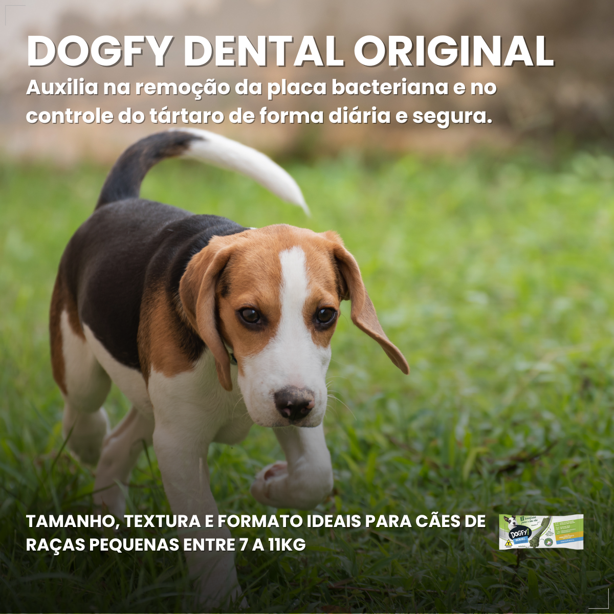 Kit 5 Dogfy Dental Cães Pequenos Limpa Dentes Tártaro