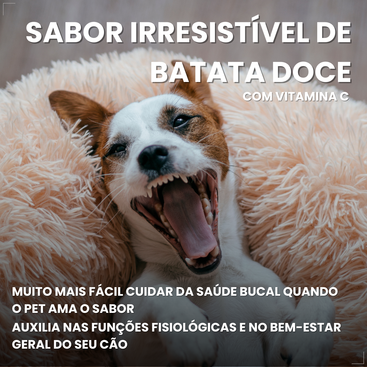 Caixa 30un Dogfy Dental Cães Pequenos Limpa Dentes Tártaro