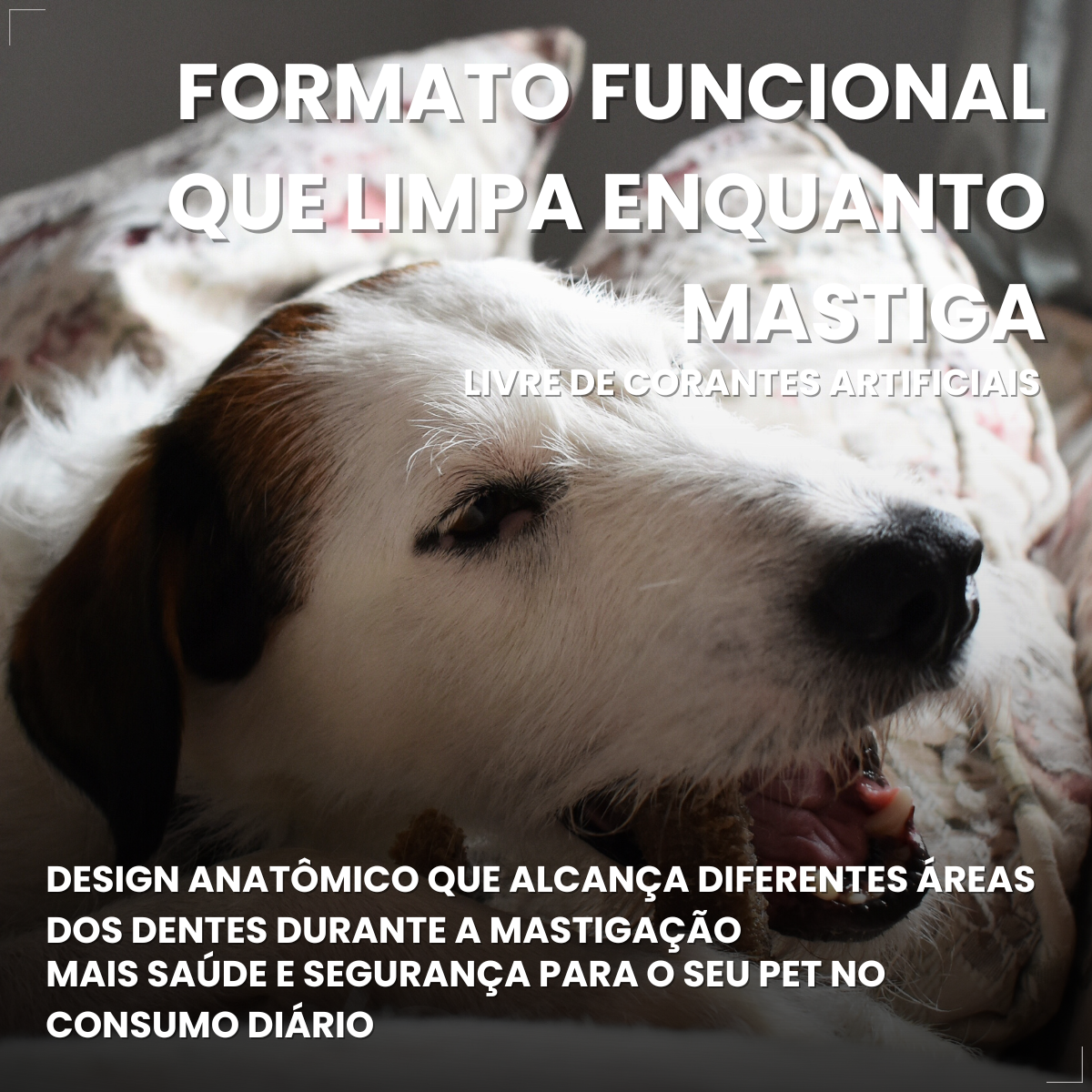 Dogfy Dental Cães Pequenos Limpa Dentes Tártaro 1 Unidade