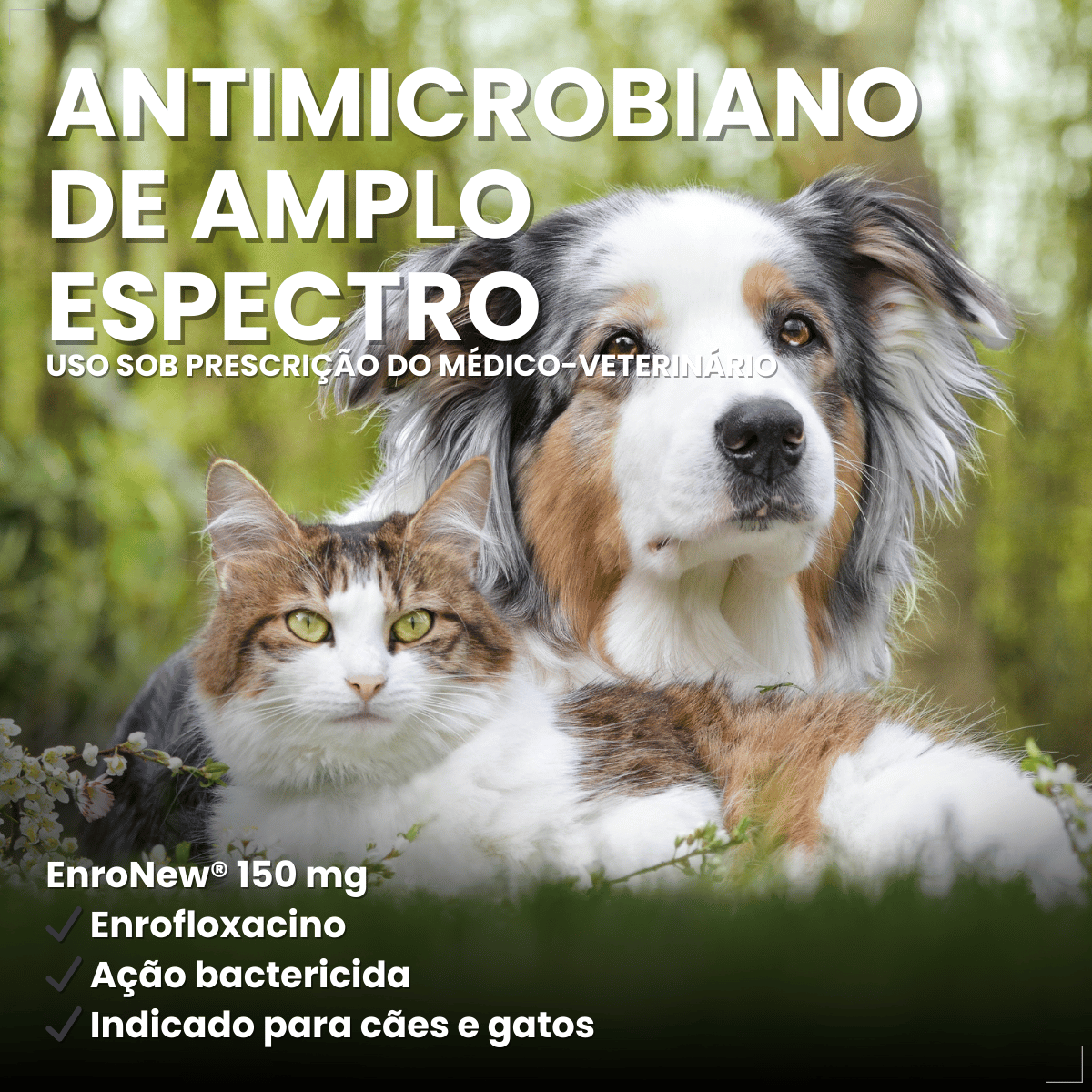 Kit 3 Enronew 150mg Antimicrobiano Cães e Gatos 10 Comp