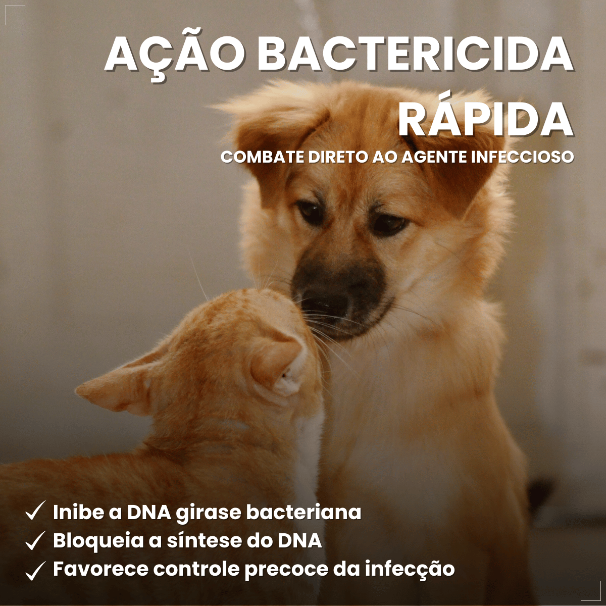 Kit 3 Enronew 150mg Antimicrobiano Cães e Gatos 10 Comp