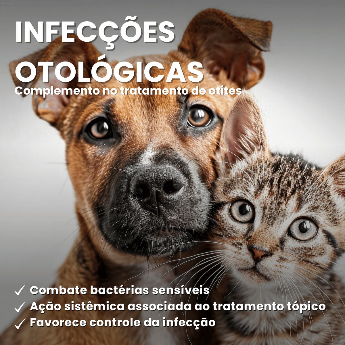 Kit 3 Enronew 150mg Antimicrobiano Cães e Gatos 10 Comp