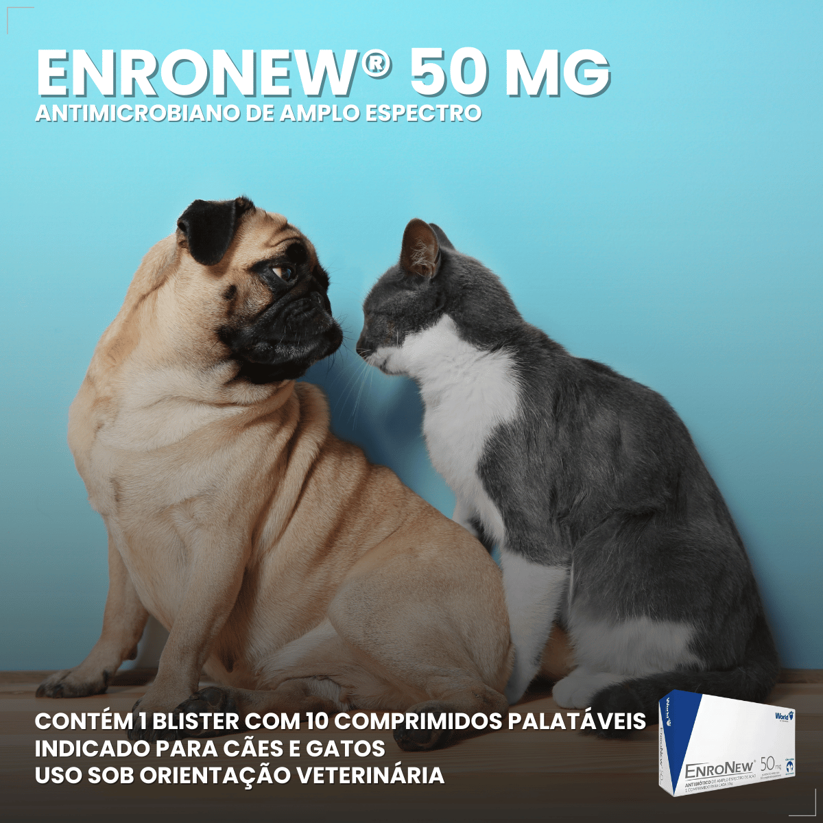 Enronew 50mg 10 Comprimidos Antimicrobiano para Cães e Gatos