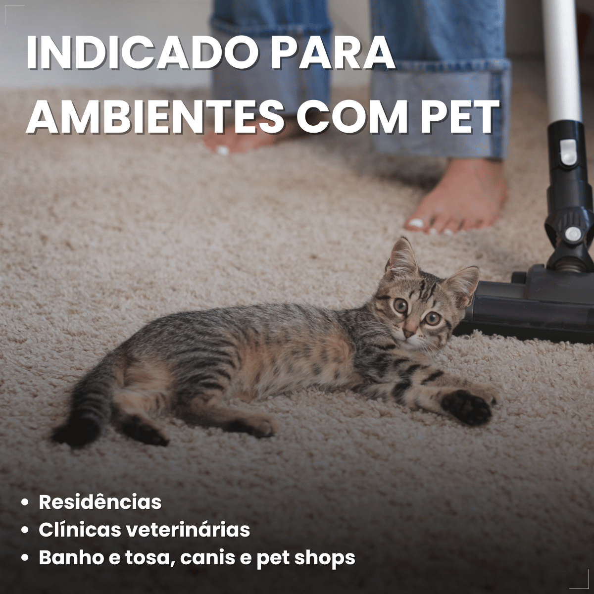 Eliminador De Odores E Manchas Labgard Enzimac Spray - 500Ml