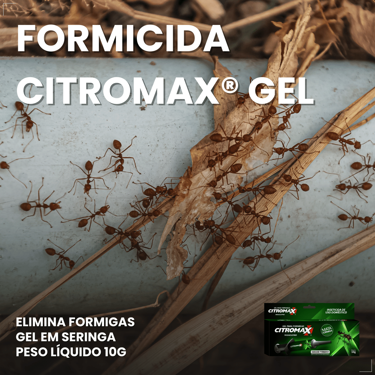 Citromax Seringa em Gel Mata Formigas 10g 1un