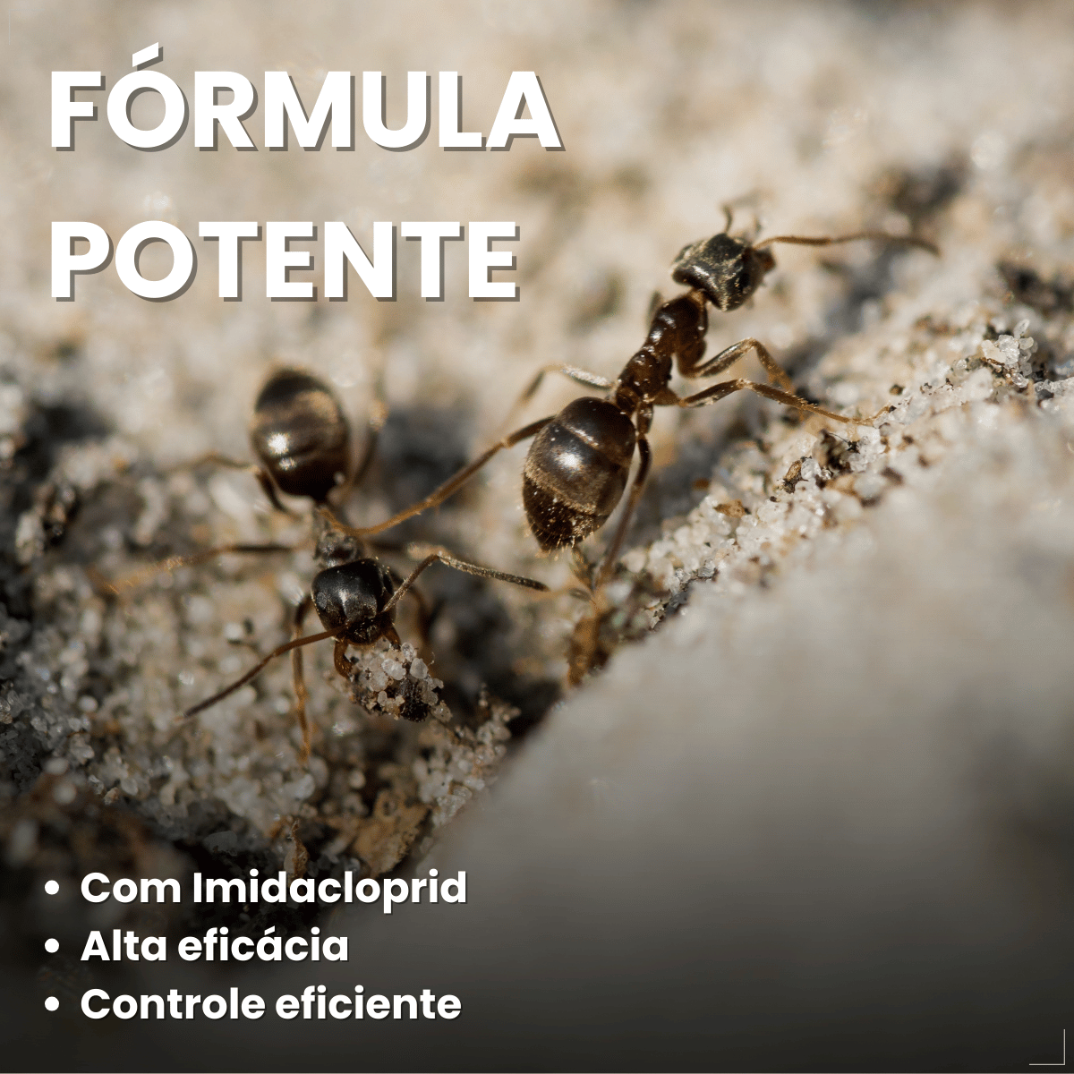 Citromax Seringa em Gel Mata Formigas 10g 1un