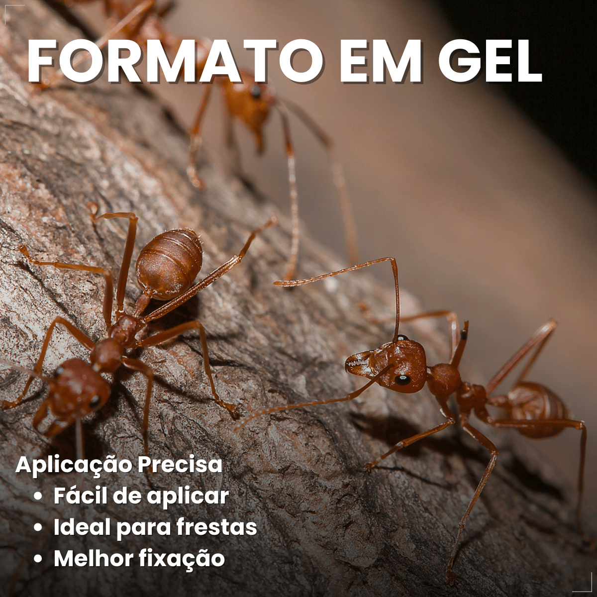 Citromax Seringa em Gel Mata Formigas 10g 1un