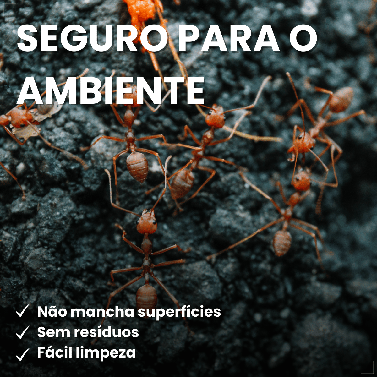 Citromax Seringa em Gel Mata Formigas 10g 1un