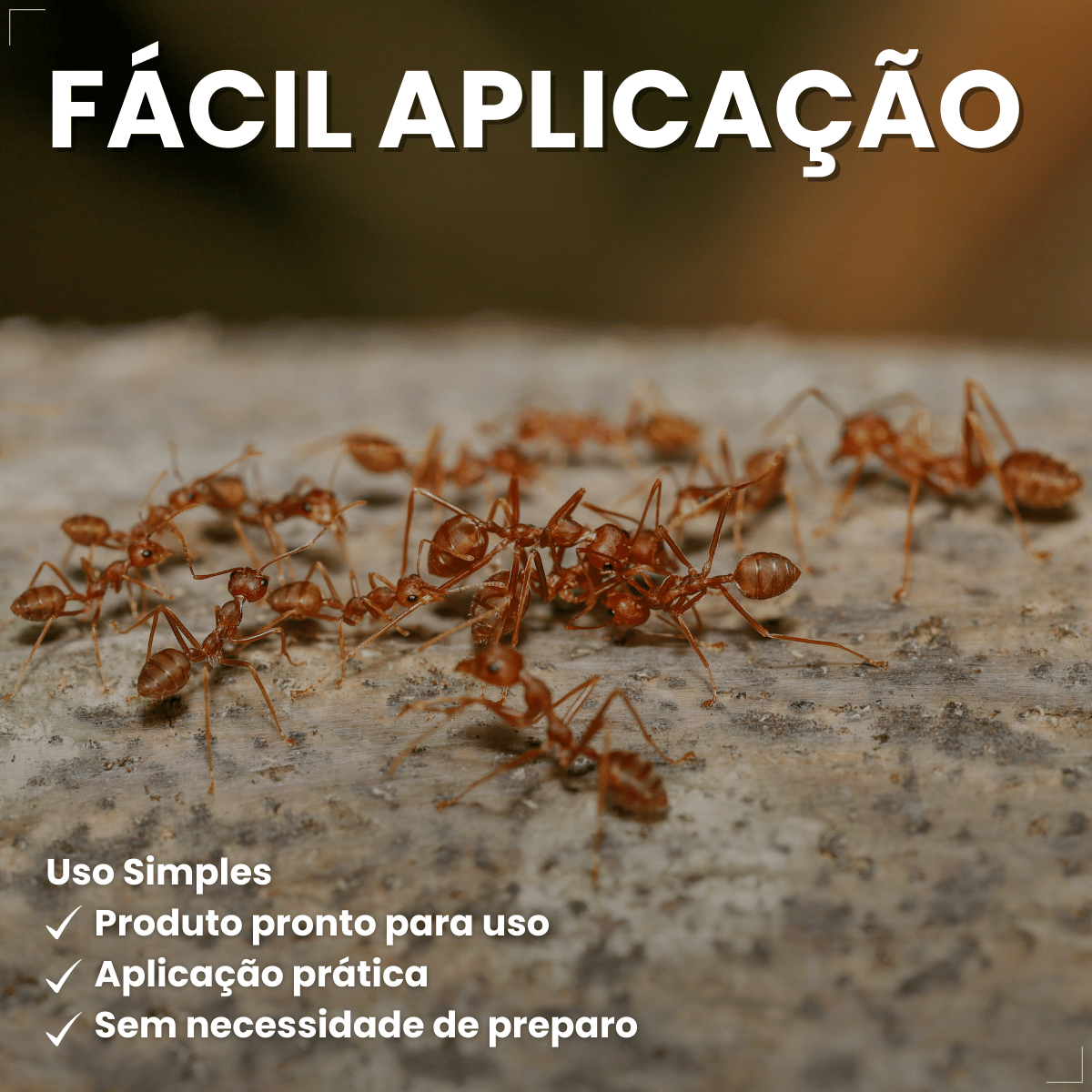 Citromax Seringa em Gel Mata Formigas 10g 1un