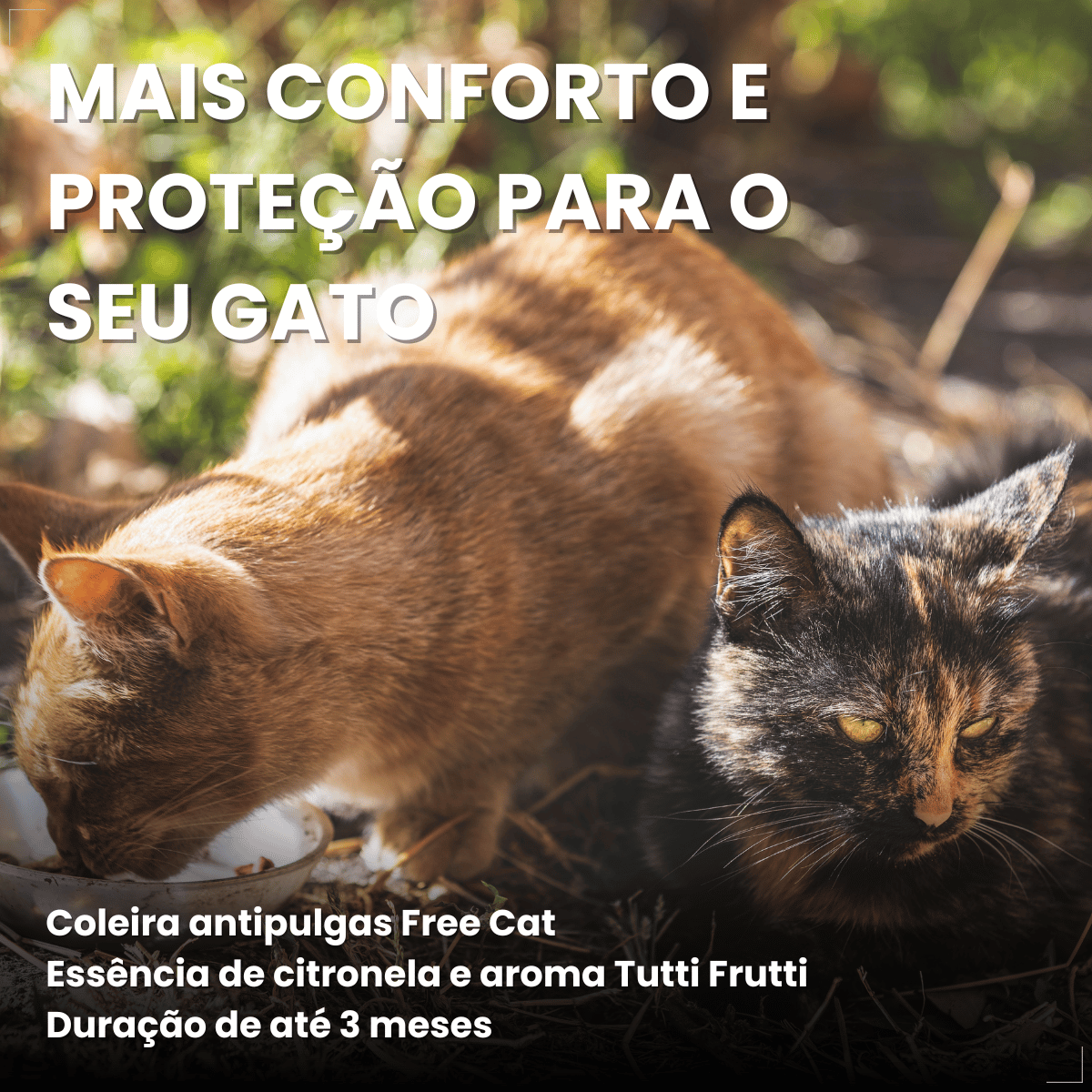 Coleira Para Gato Antipulga 36cm Free Cat Cor Vermelho
